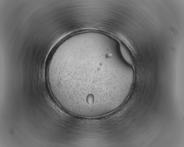 X0000112770884200909031609