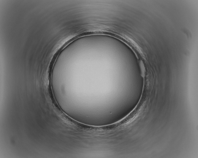 X0000112770885200909031609