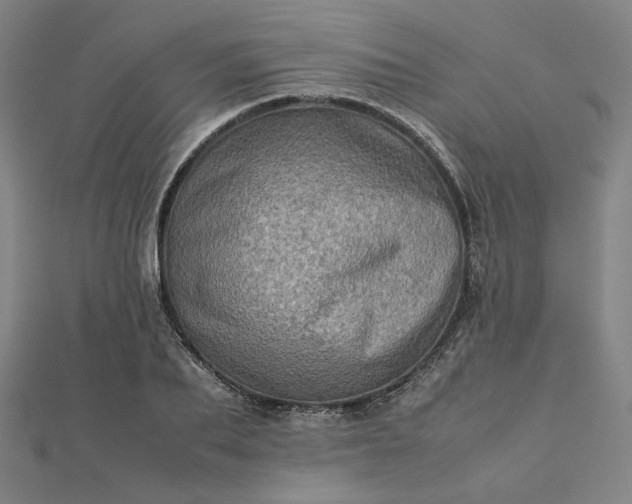 X0000112770887200909031609