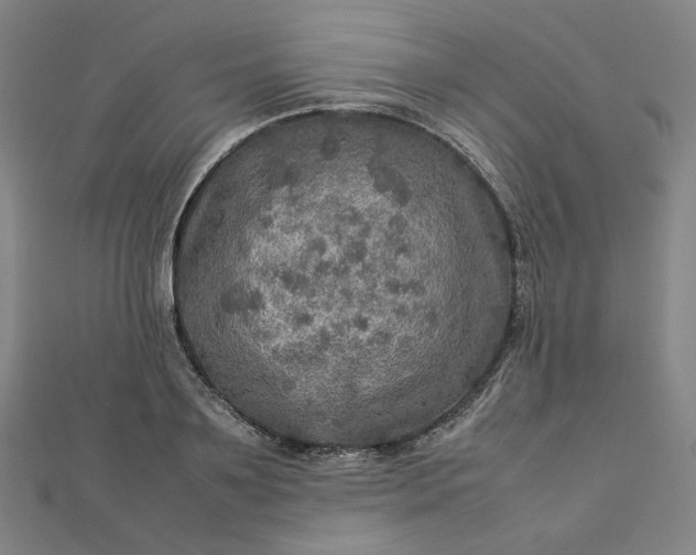 X0000112770891200909031608