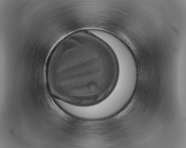 X0000112770892200909031608