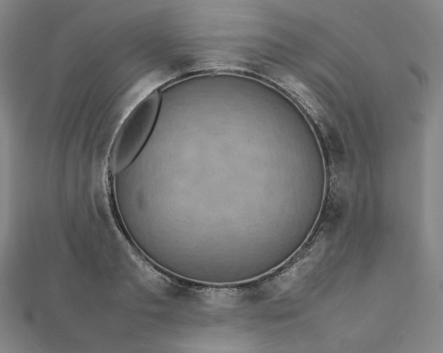 X0000112770893200909031608