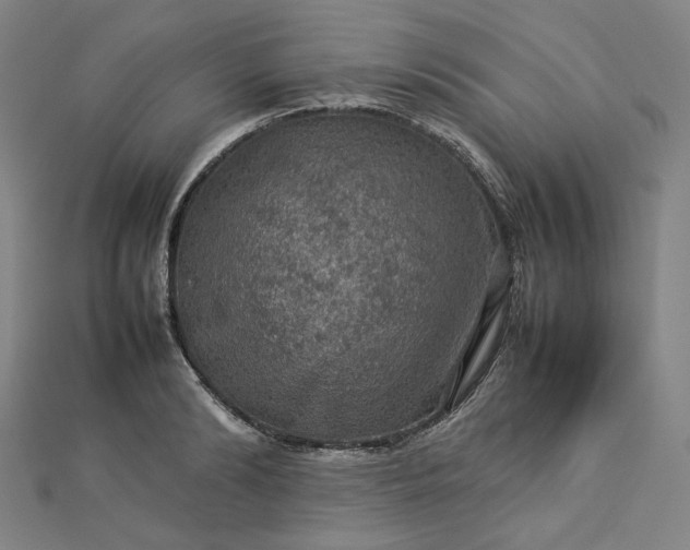 X0000112770894200909031608