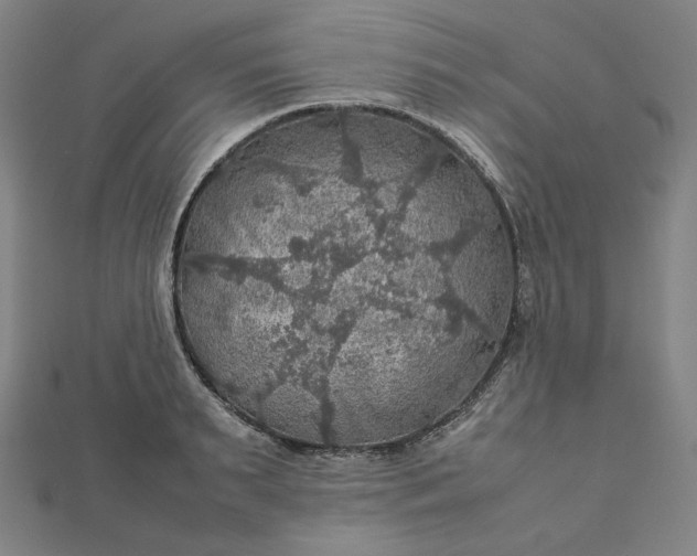 X0000112770895200909031608