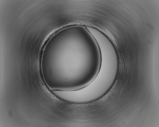 X0000112770896200909031608