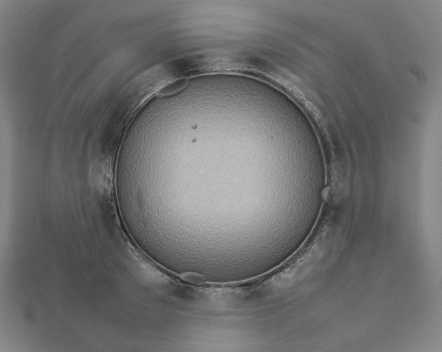 X0000112770897200909031608