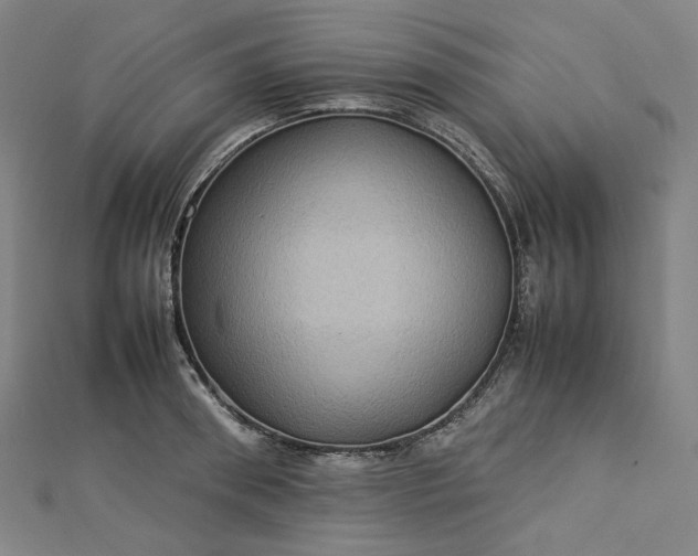 X0000112770898200909031608