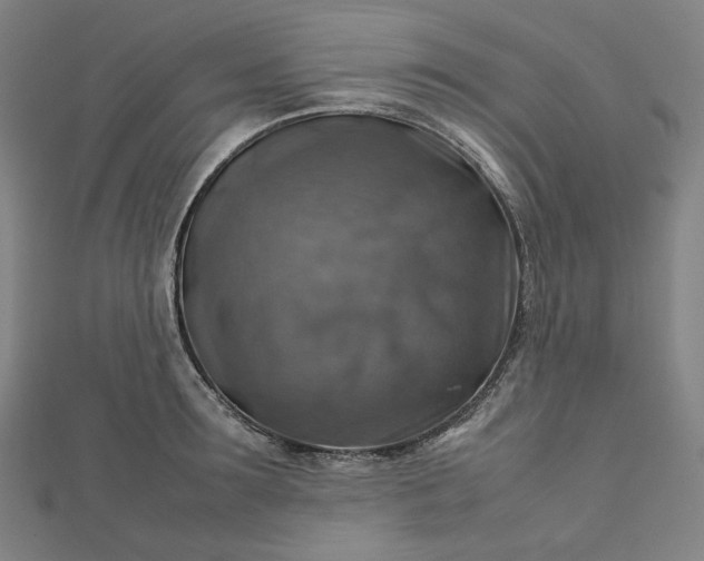 X0000112770899200909031608