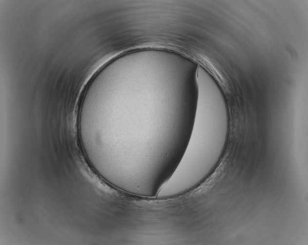 X0000112770900200909031608