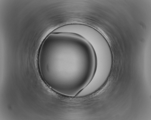 X0000112770901200909031608