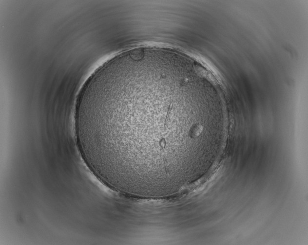 X0000112770902200909031608