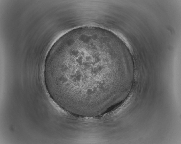 X0000112770903200909031608