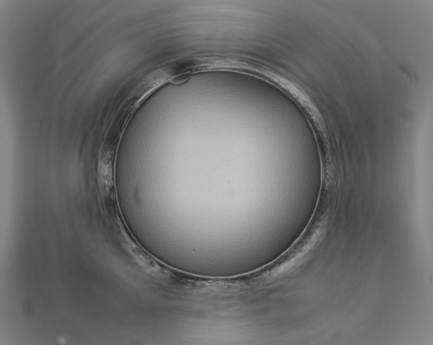 X0000112770905200909031608