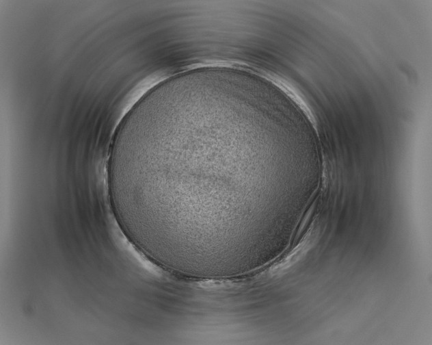 X0000112770906200909031608