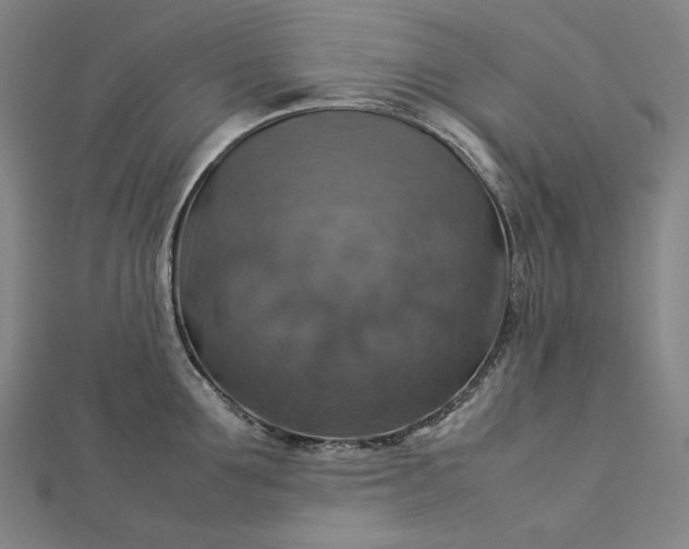 X0000112770907200909031608