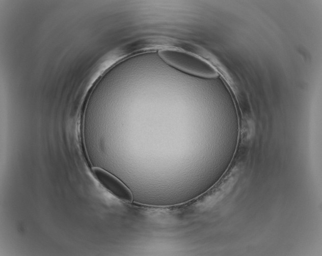 X0000112770909200909031608