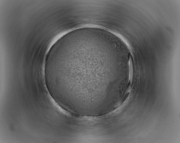 X0000112770910200909031608