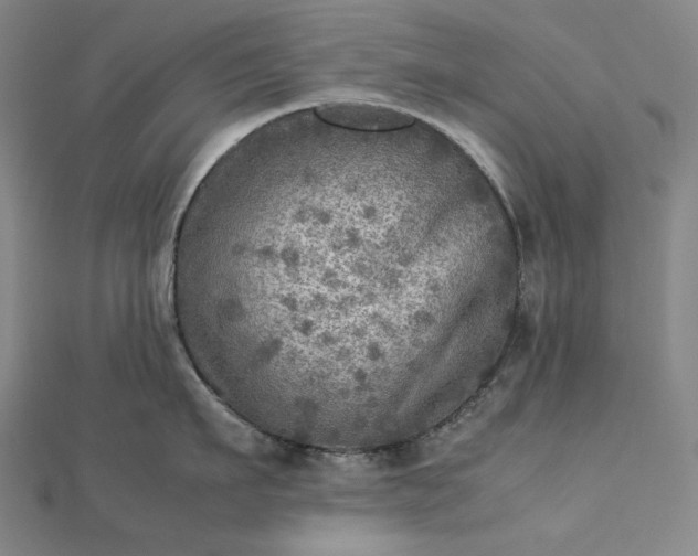 X0000112770911200909031608