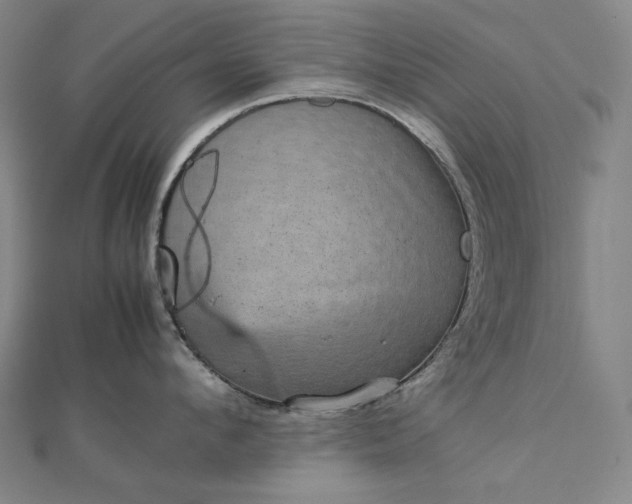 X0000112770912200909031608