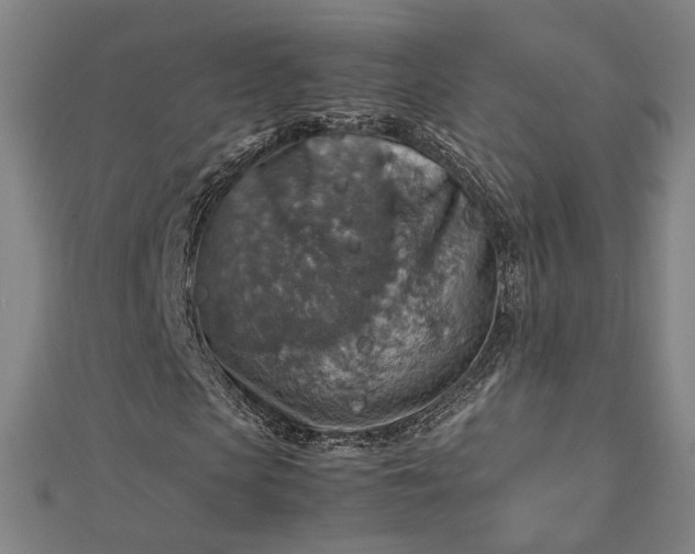 X0000112770913200909031608