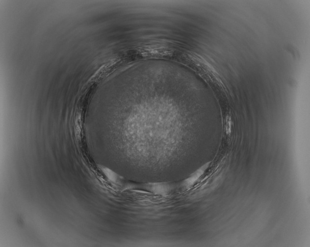 X0000112770915200909031608