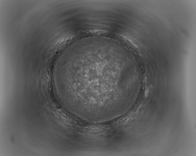 X0000112770917200909031608