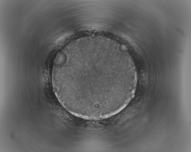 X0000112770918200909031608