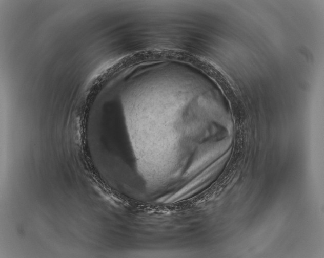 X0000112770919200909031608