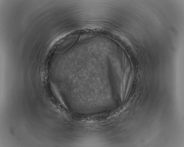 X0000112770920200909031608