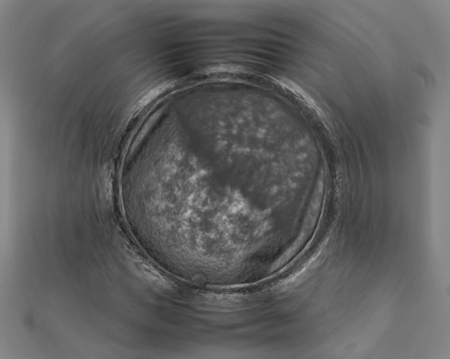 X0000112770921200909031608