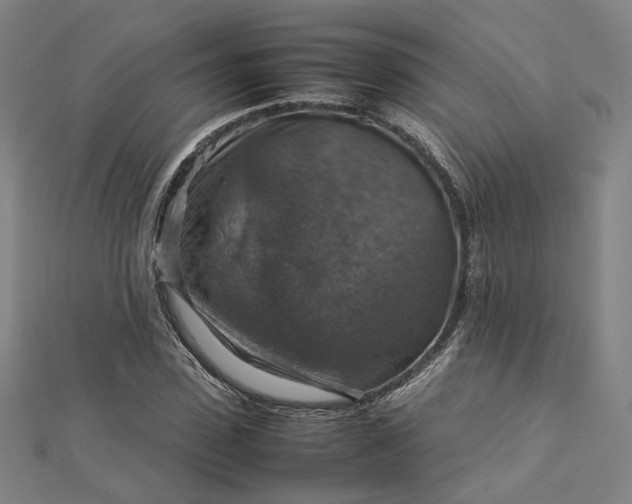 X0000112770923200909031608