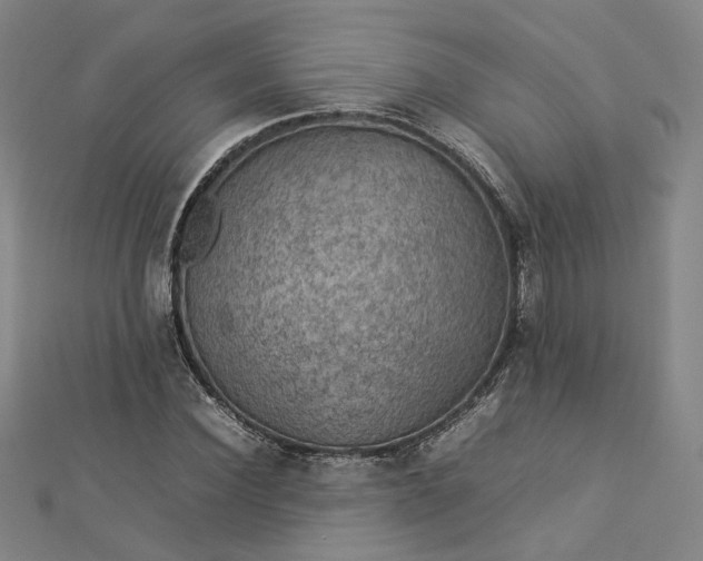 X0000112770924200909031608