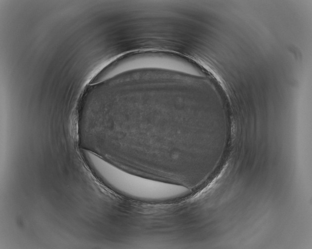 X0000112770925200909031608