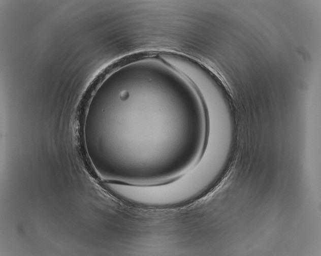 X0000112770926200909031608