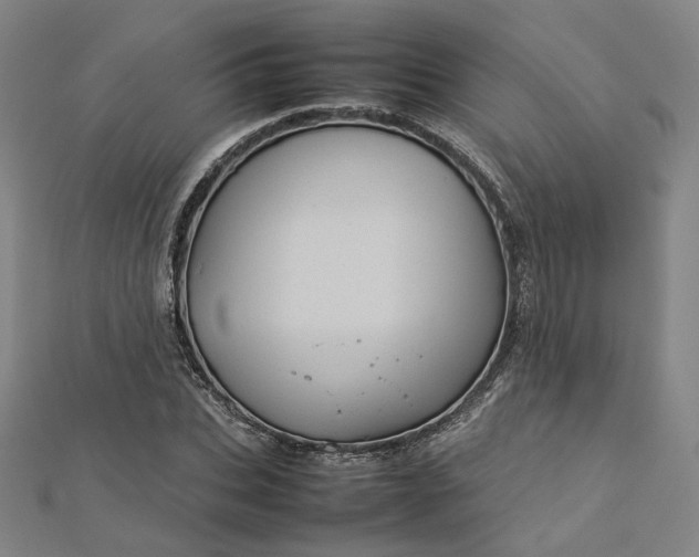 X0000112770927200909031608