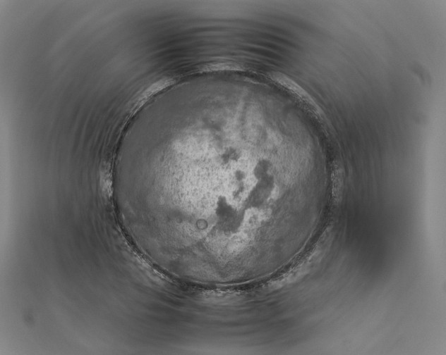 X0000112770929200909031608