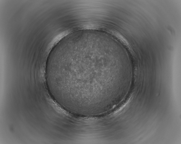 X0000112770930200909031608