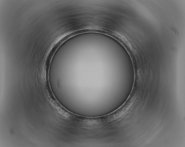 X0000112770931200909031608