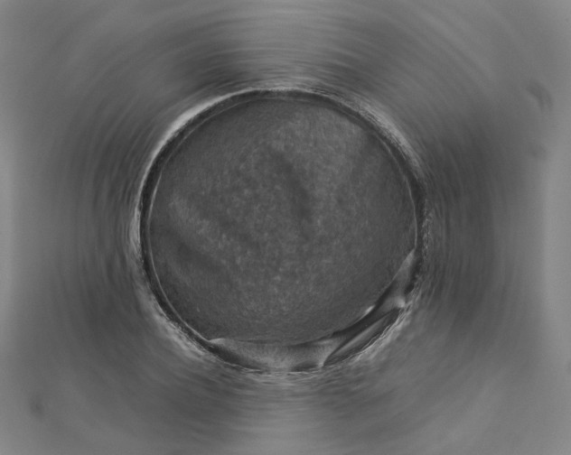 X0000112770932200909031608