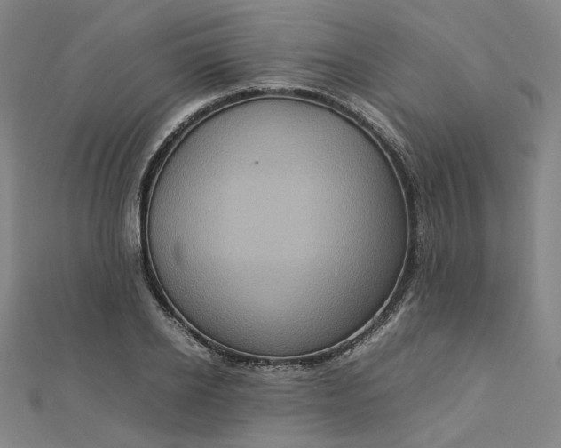 X0000112770934200909031608