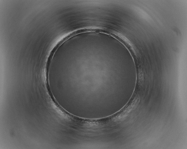 X0000112770935200909031608