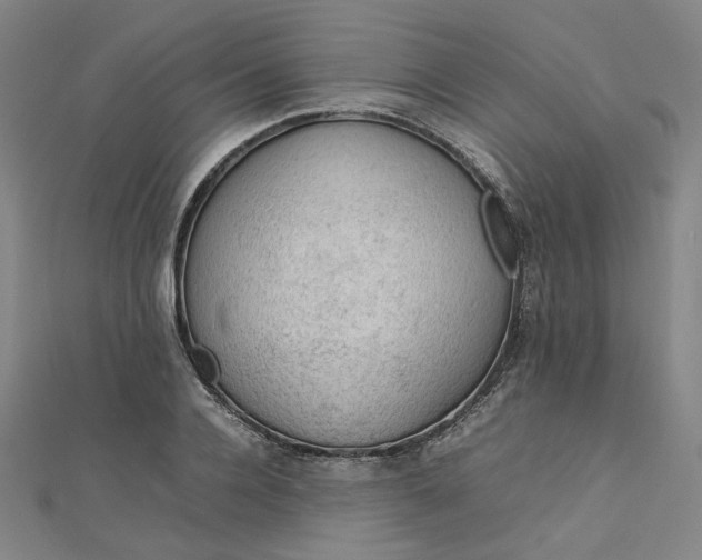 X0000112770936200909031608