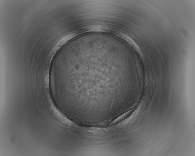 X0000112770938200909031608