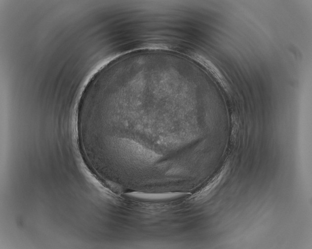 X0000112770939200909031608