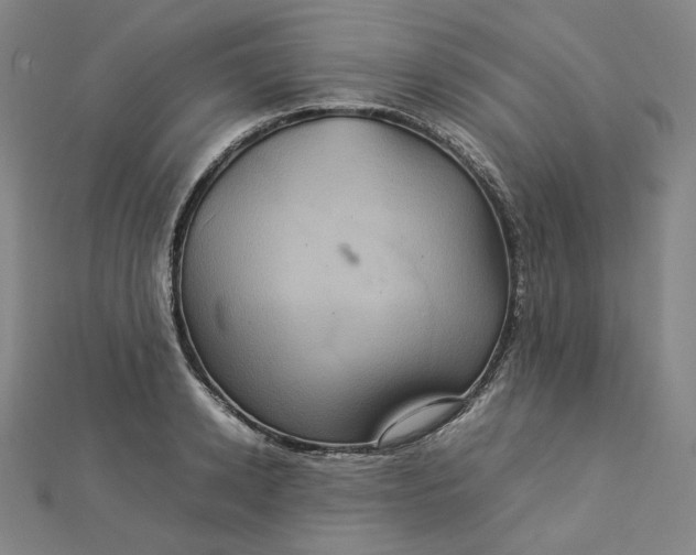 X0000112770942200909031608