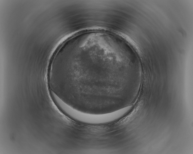 X0000112770943200909031608