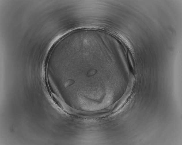 X0000112770944200909031608