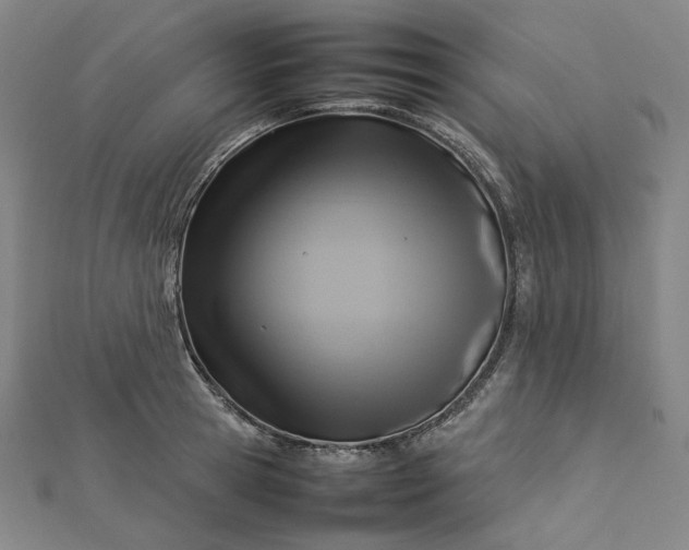 X0000112770945200909031608