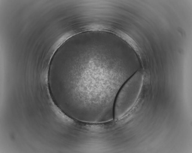 X0000112770946200909031608