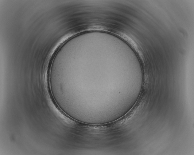 X0000112770947200909031608